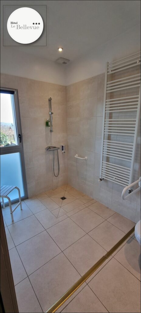 Hotel Bellevue Hotel A Guer Chambre Pmr 2