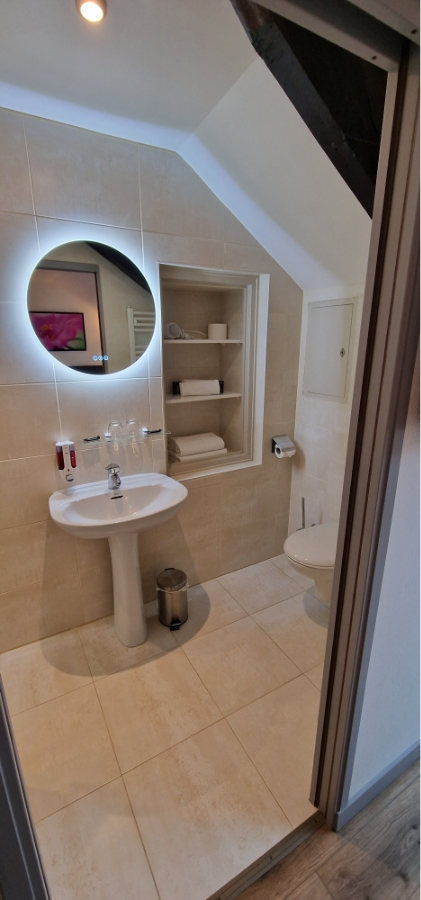 Hotel Bellevue Hotel A Guer Ch 21 5